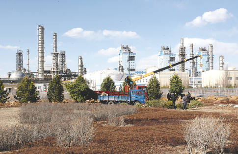 白鲸App界面展示